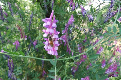 DSCF1898.jpg