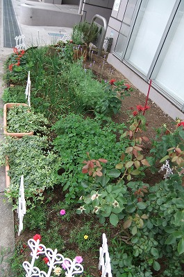 DSCF2040.jpg