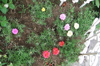 DSCF2043.jpg