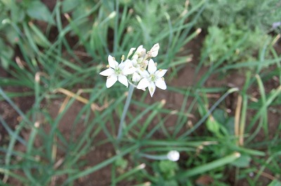 DSCF2044.jpg