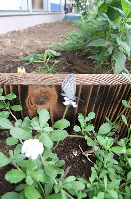 DSCF2049.jpg