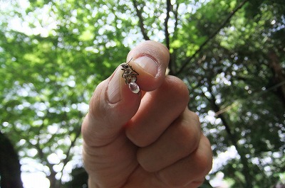 DSCF2188.jpg