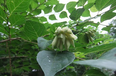 DSCF2225.jpg