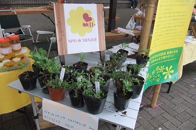 DSCF2396.jpg