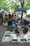 DSCF2404.jpg