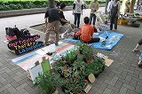 DSCF2405.jpg