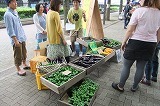 DSCF2406.jpg