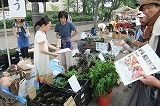 DSCF2412.jpg
