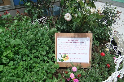DSCF2436.jpg