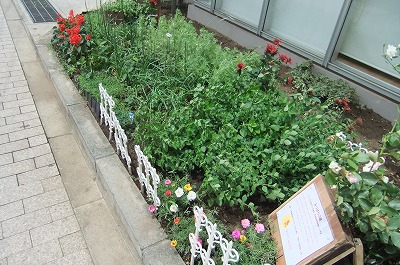 DSCF2437.jpg