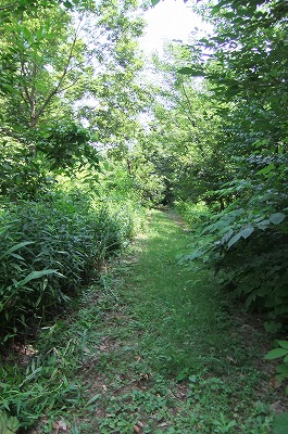 DSCF2498.jpg