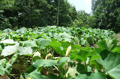 DSCF2505.jpg