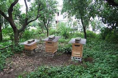 DSCF2587.jpg