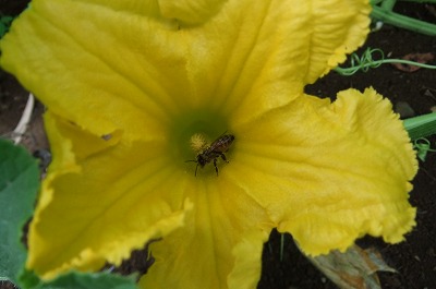 DSCF2618.jpg