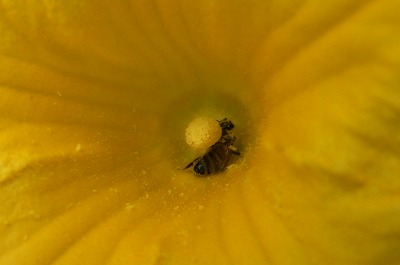 DSCF2653.jpg