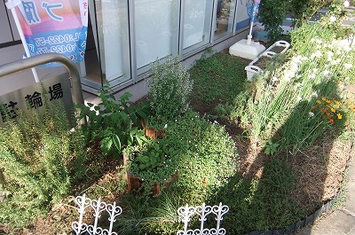 DSCF3308.jpg