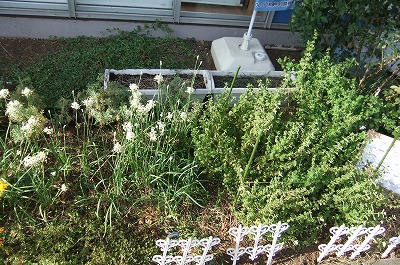 DSCF3309.jpg