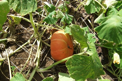 DSCF3328.jpg