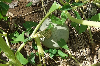 DSCF3330.jpg
