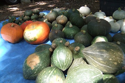 DSCF3361.jpg