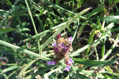 DSCF3871.jpg
