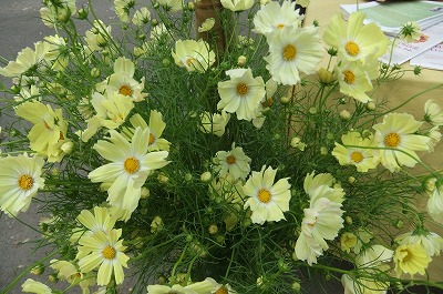 DSCF4088.jpg