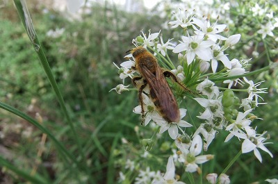 DSCF4405.jpg