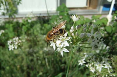 DSCF4430.jpg