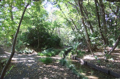 DSCF4495.jpg