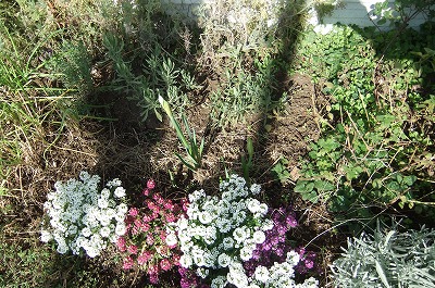 DSCF4854.jpg
