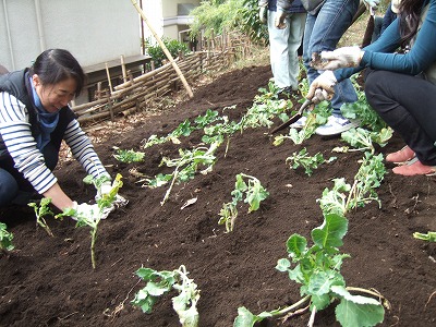 DSCF5232.jpg