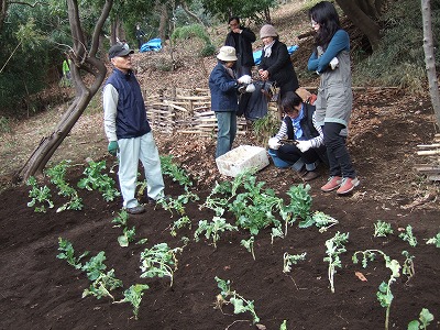 DSCF5237.jpg