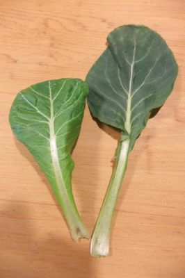 DSCF5336.JPG