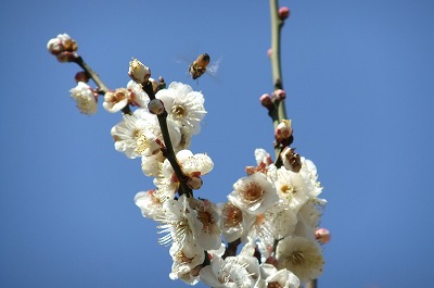 DSCF5563.jpg