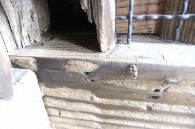 DSCF5570.jpg