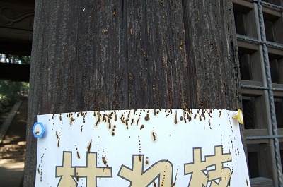 DSCF5578.jpg