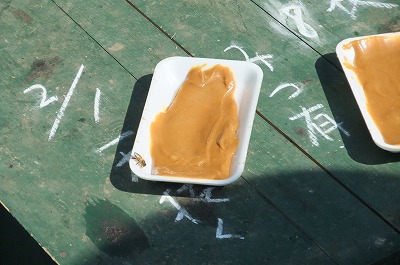 DSCF5588.jpg