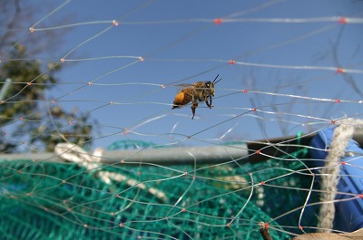 DSCF5590.jpg