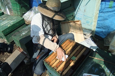 DSCF5597.jpg