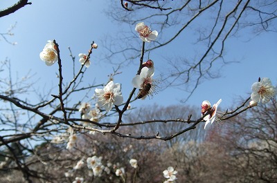 DSCF5651.jpg