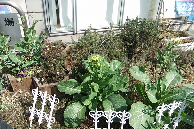 DSCF5706.jpg