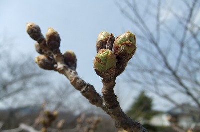 DSCF5717.jpg