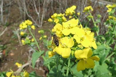 DSCF5922.jpg