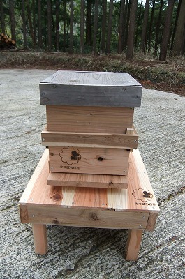 DSCF5955.jpg