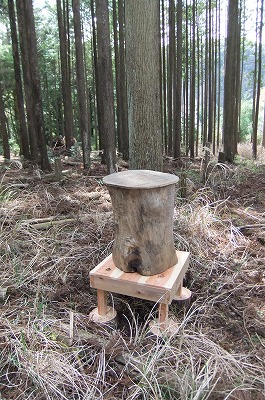 DSCF5959.jpg