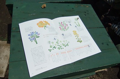DSCF6276.jpg
