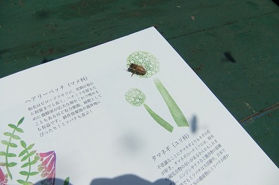 DSCF6280.jpg
