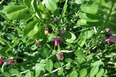DSCF6304.jpg