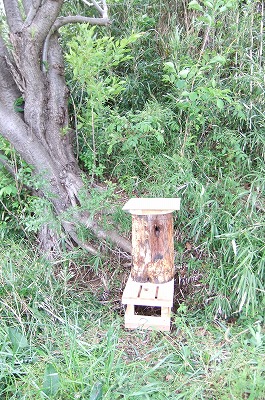 DSCF6361.jpg