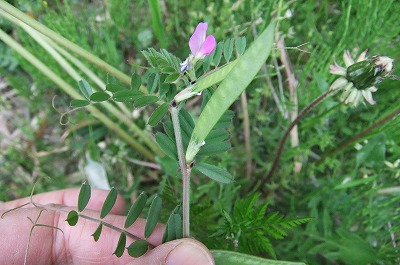 DSCF6383.jpg